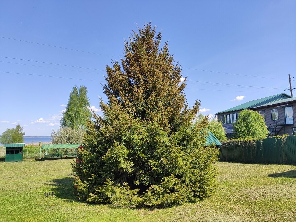 Гостиница Ботик Весково-18