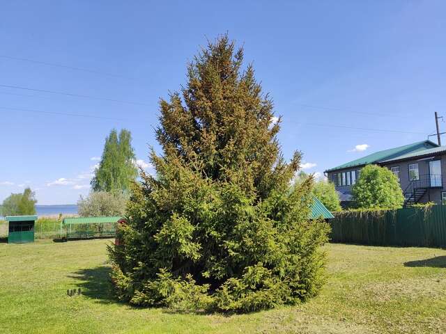 Гостиница Ботик Весково-17